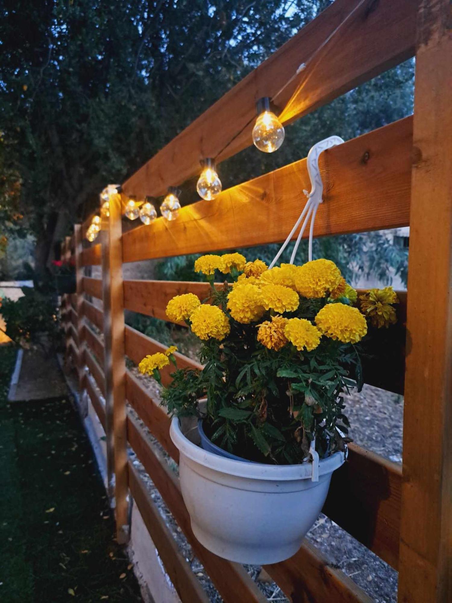 Felina House Villa Ártemida Kültér fotó